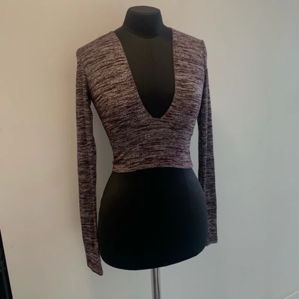 Wilfred Free Long Sleeved Crop Top V Neck
